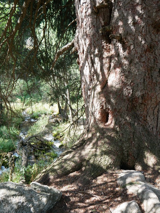 Attraversamento del Passo nel massiccio del Ile-Alatau