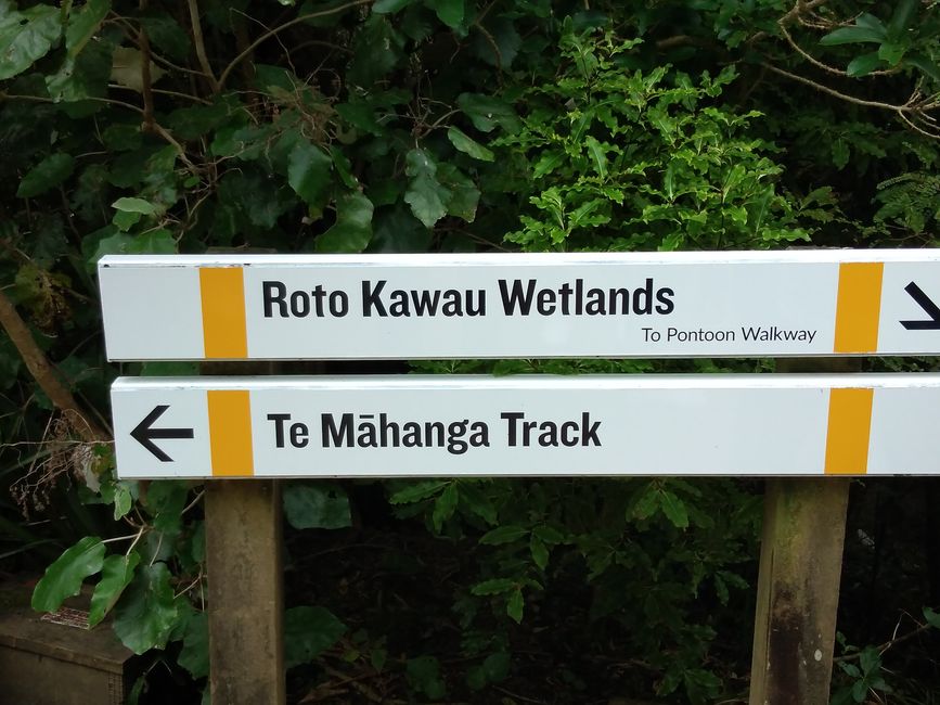 Wellington Zealandia Sanctuary