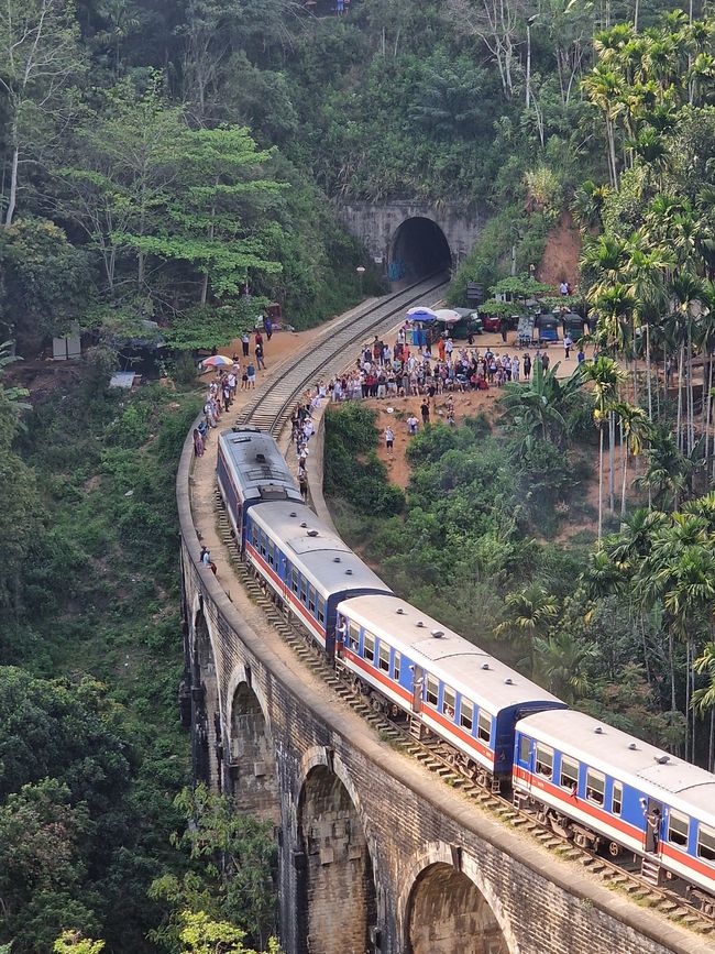 Train view