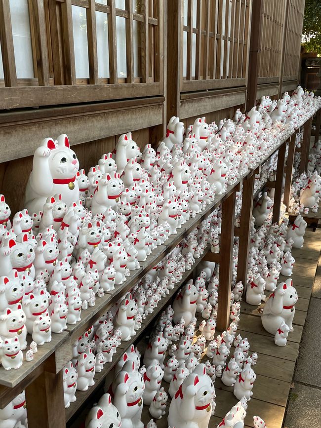 Templo de Gato / Gōtoku-ji