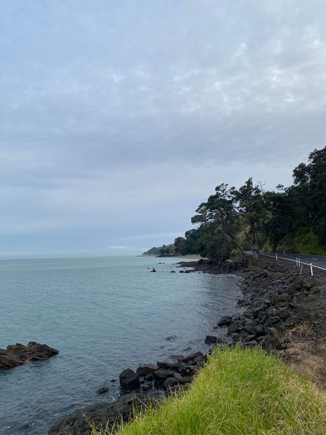 Coromandel loop