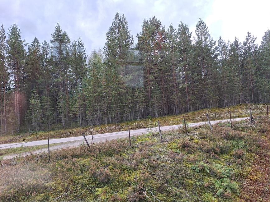 Tag 8 Via Oslo a Trondheim