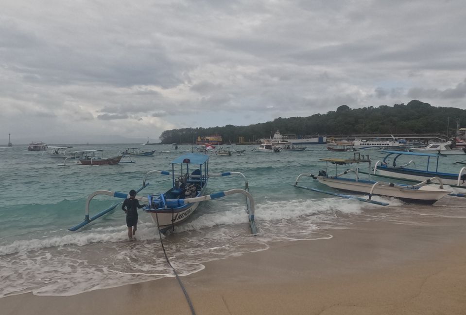 Tag 20: Il mondo sottomarino di Bali