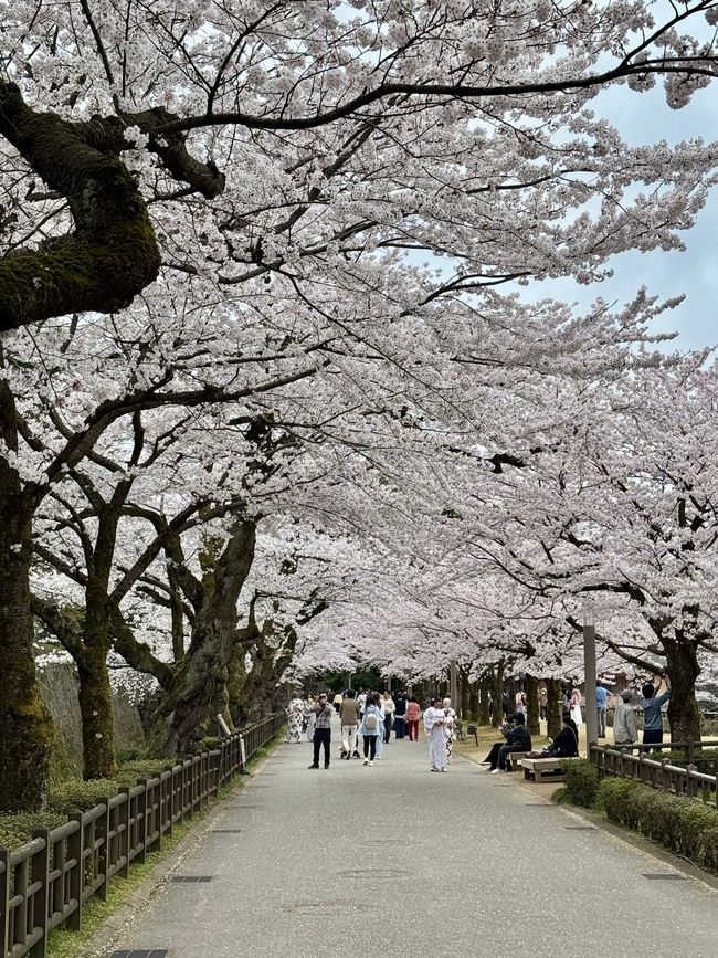 Part 8 Japan 🇯🇵 Kanazawa