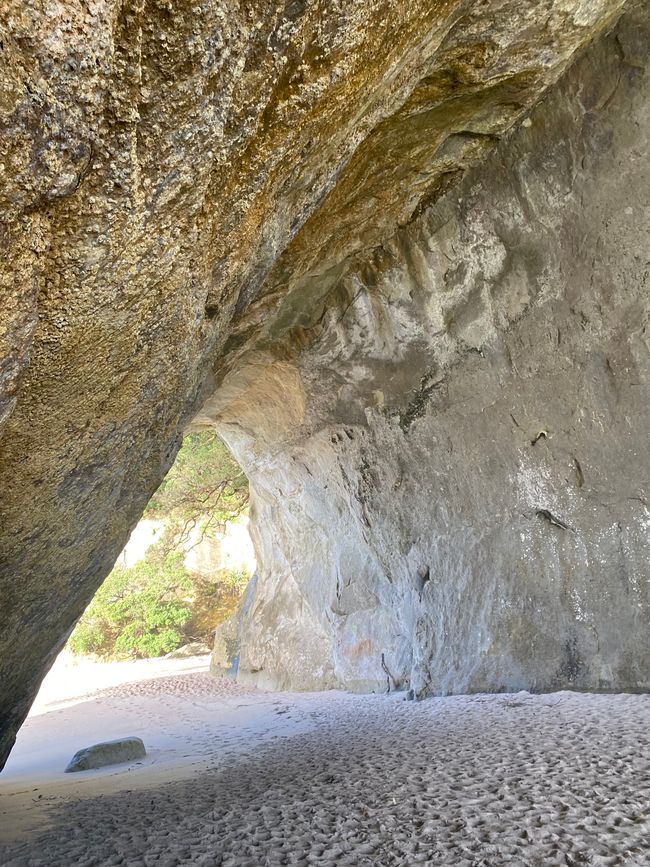 Coromandel loop