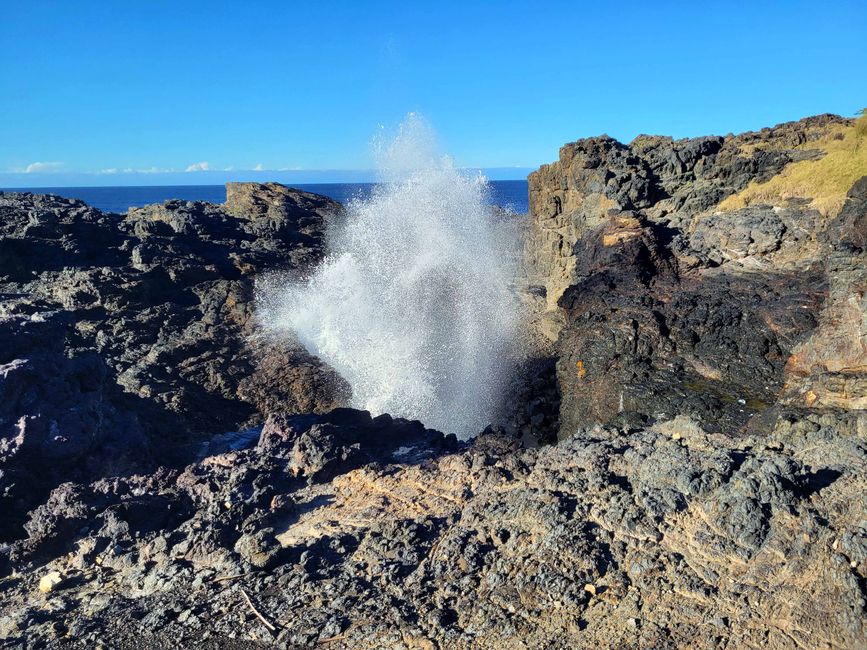 Blowhole Kiama