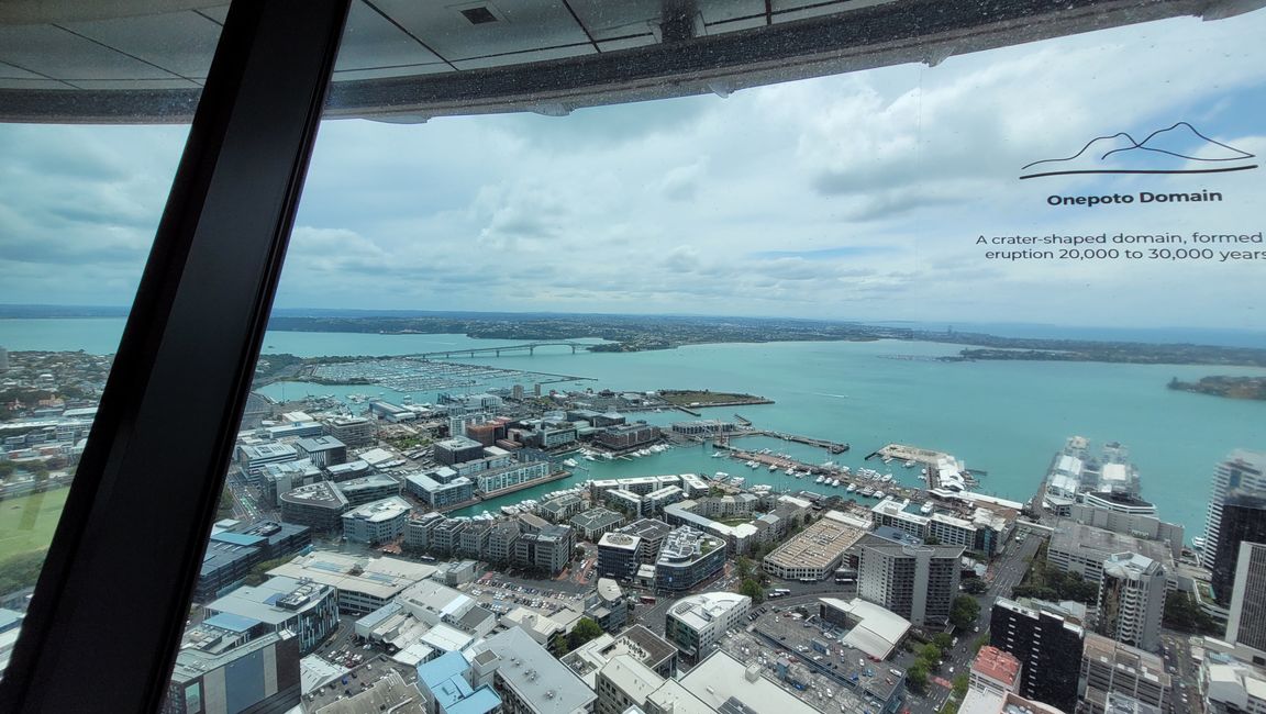 Thank the Maoris - We can visit Auckland