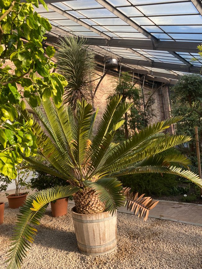 Keine Ahnung, was dort alles wächst,  