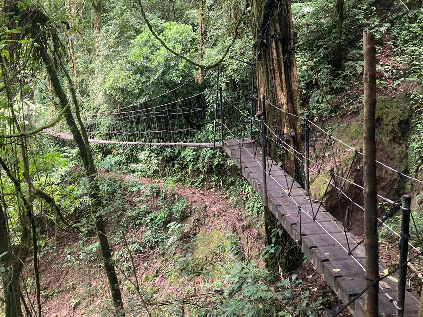 Monteverde