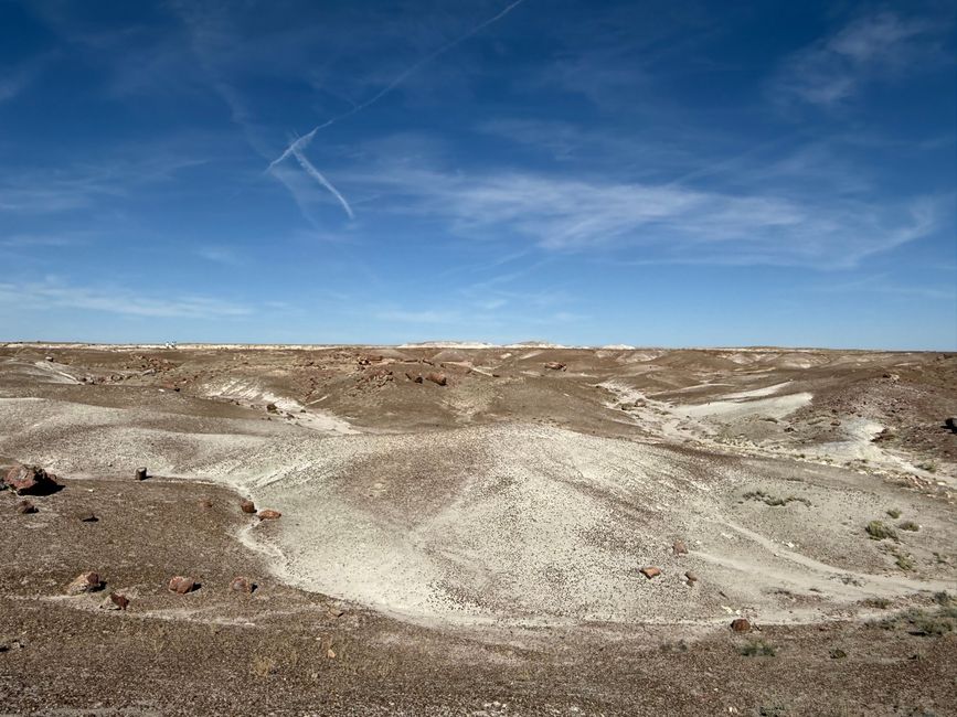 Forêt Fossile
