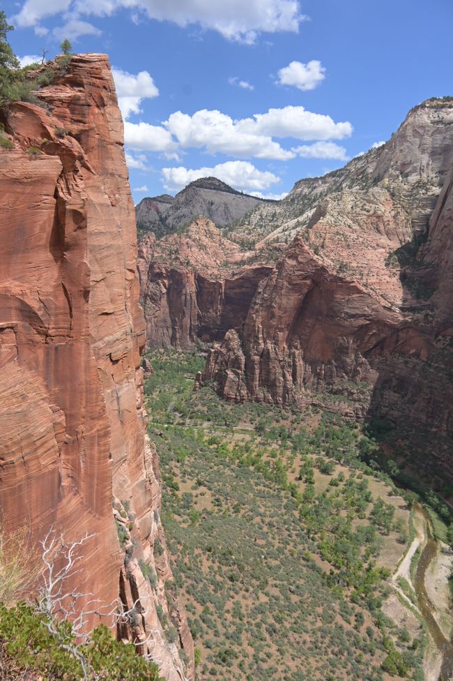 Blick von Angels Landing