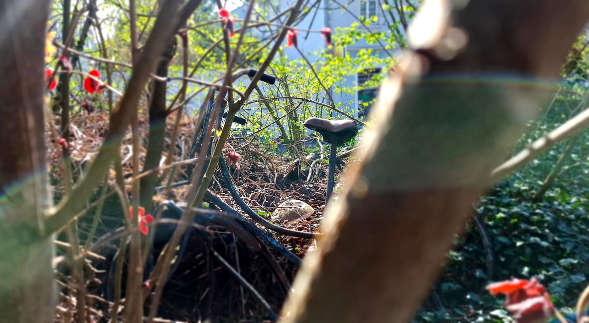 Wandern in Darmstadt 