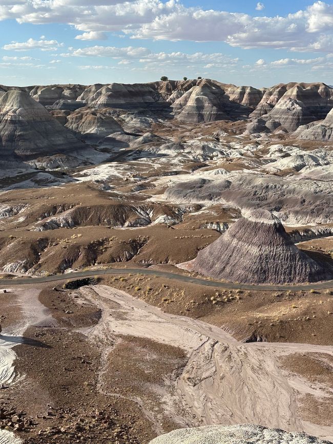 Arizona/ New Mexico/ Petrified Forest/White Sands