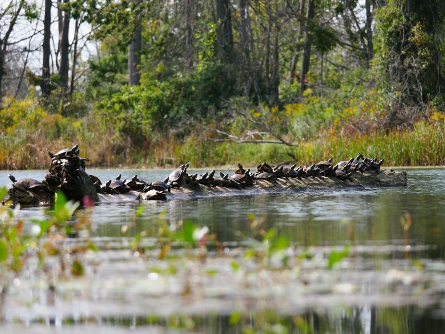 Presque Isle State Park