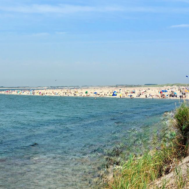 Sensazione estiva