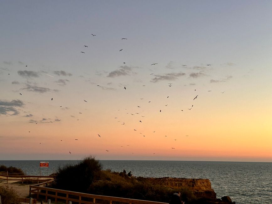 Praia da Falésia, Algarve 