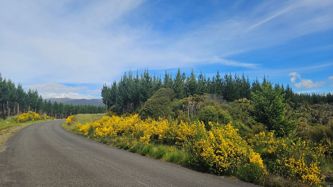 Tongariro Alpine Crossing