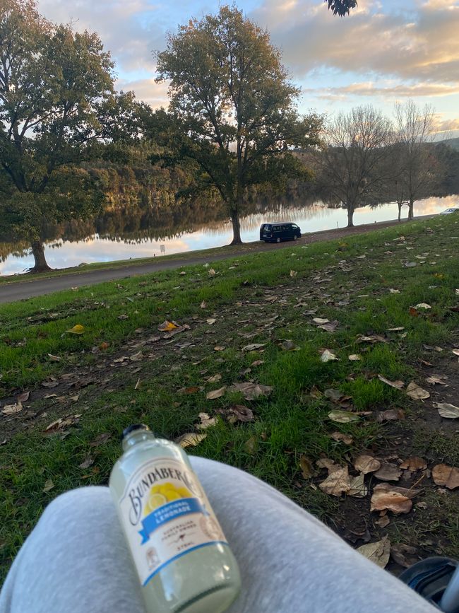 Hamilton — Thames