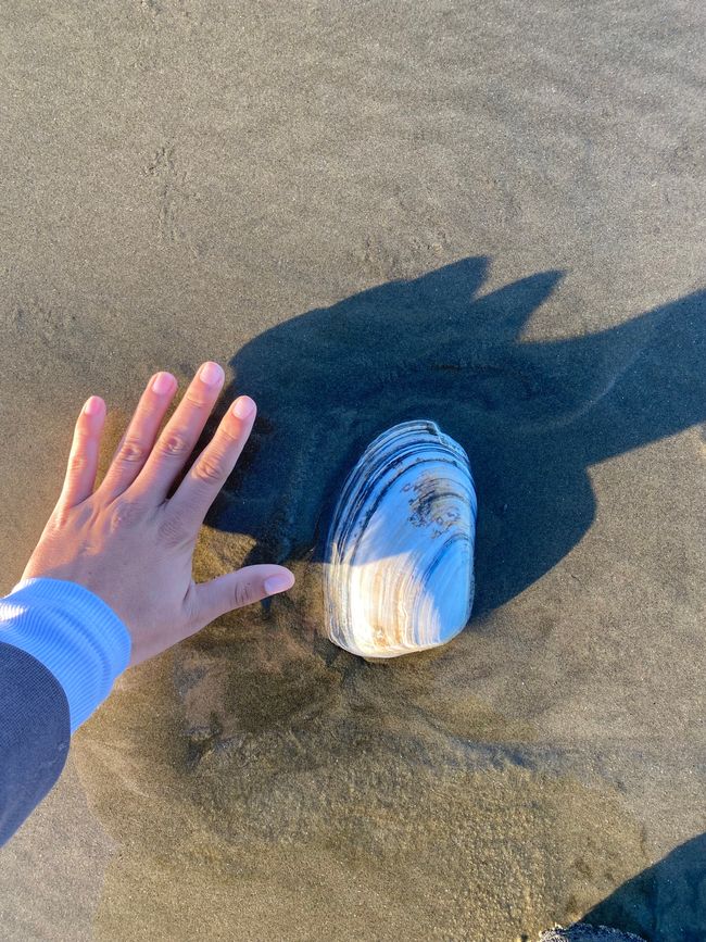 At the End of the World