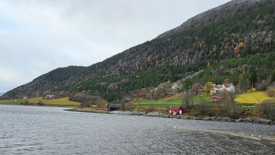 Trondheim 23-30.Oktober 2025/28.Oktober