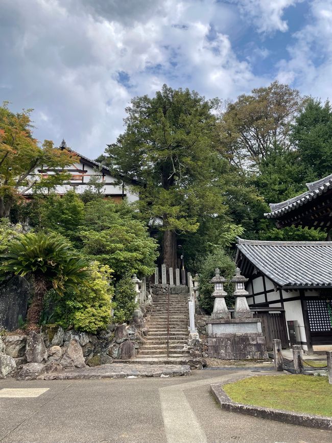 Nara