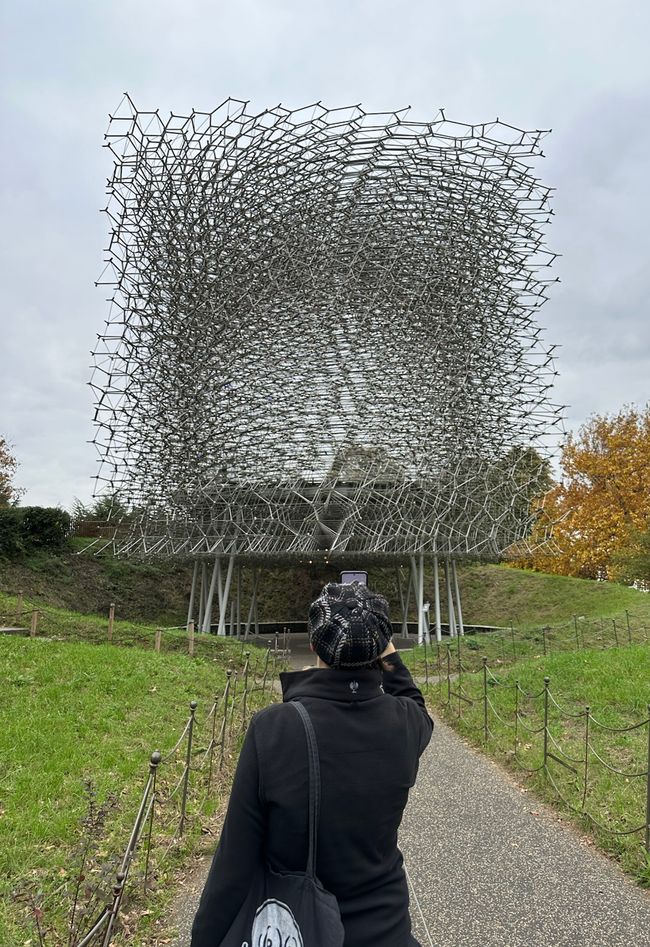 Tag 6 in London