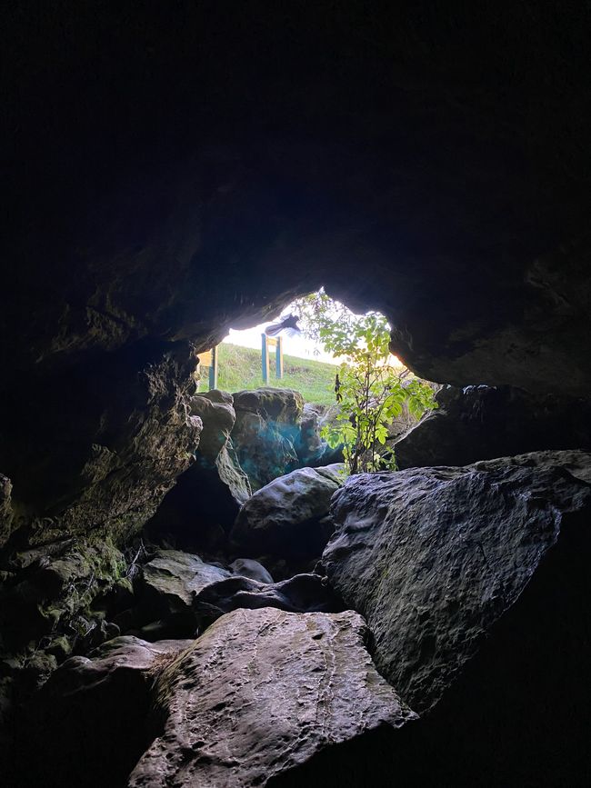 Eingang/Ausgang Clifden Caves mit einem weiteren Vogelfreund