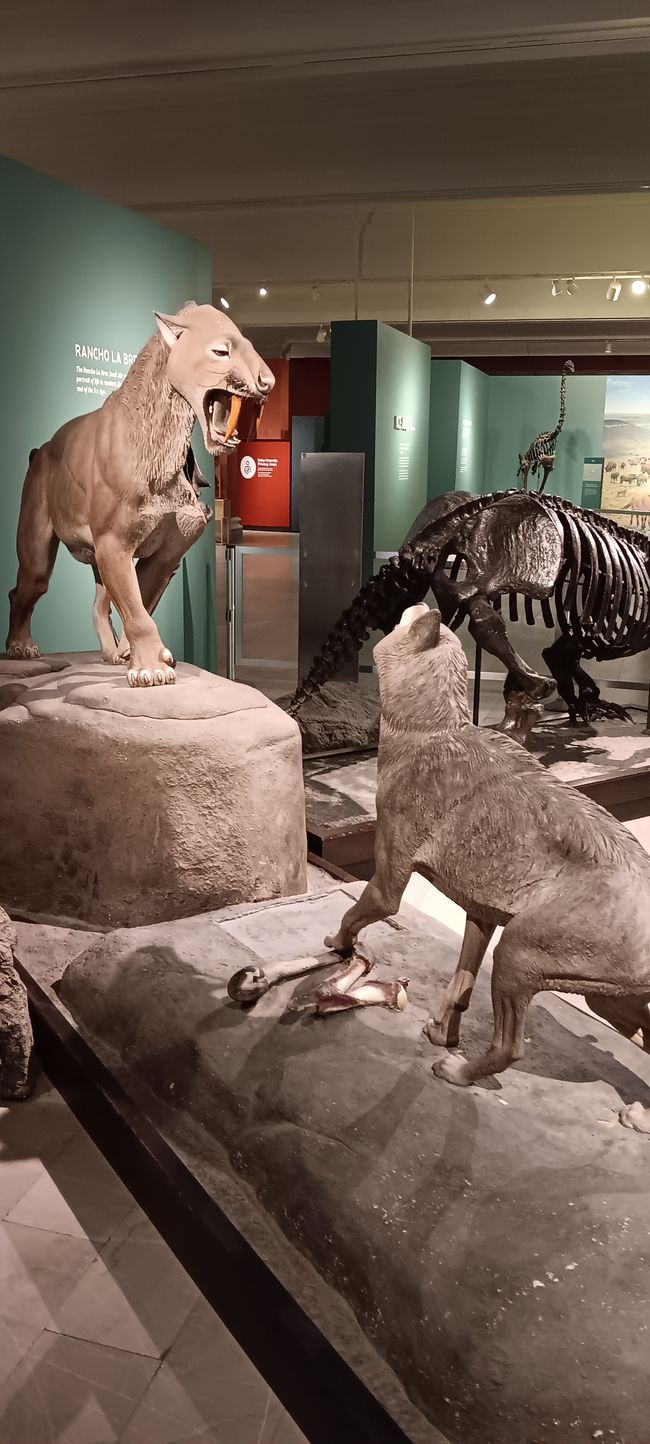 Museum of natural history I