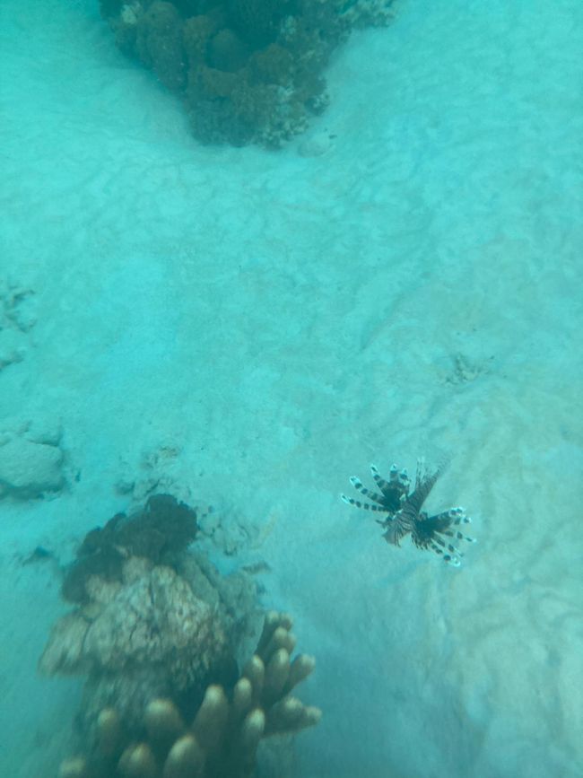 Auf der Marcopolo Blue von Lombok nach Flores