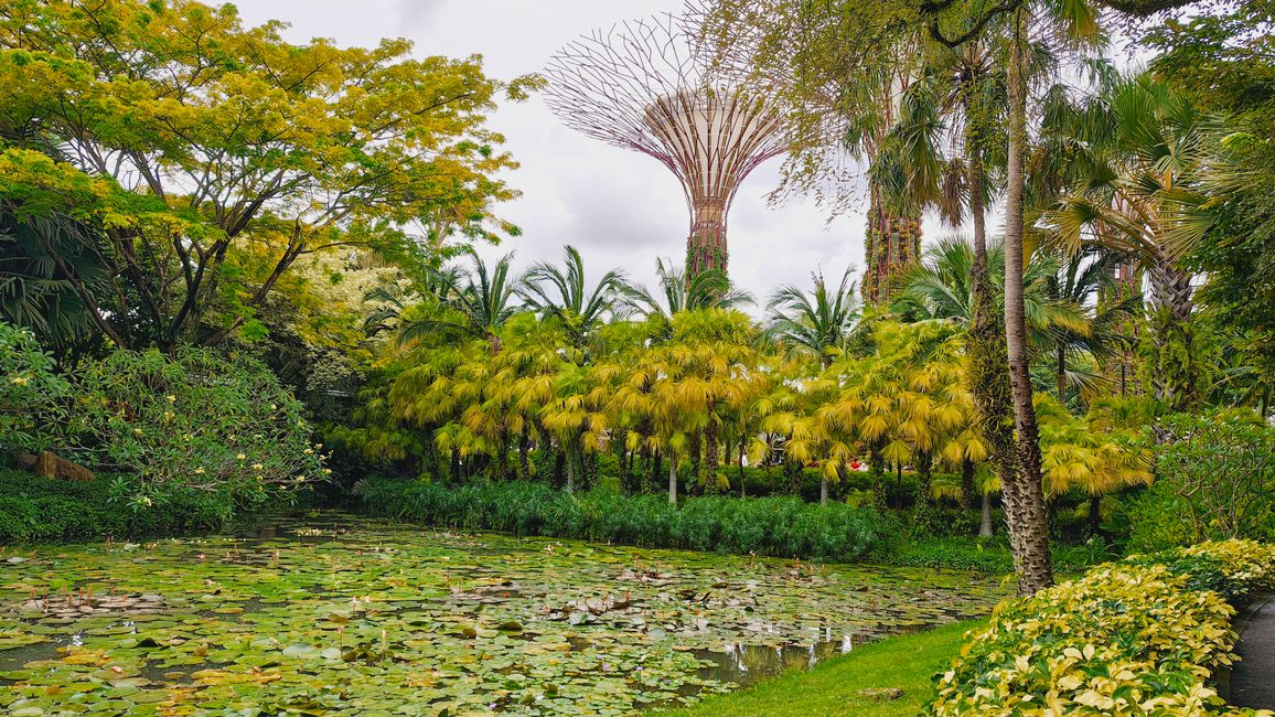 Gardens by the Bay