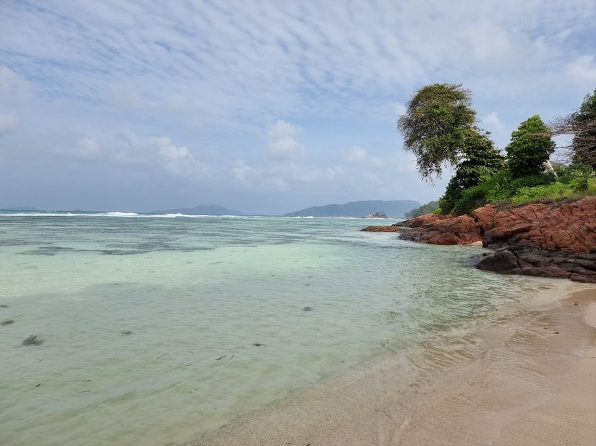 Seychellen - Tag 8: Praslin Nationalpark Vallée de Mai