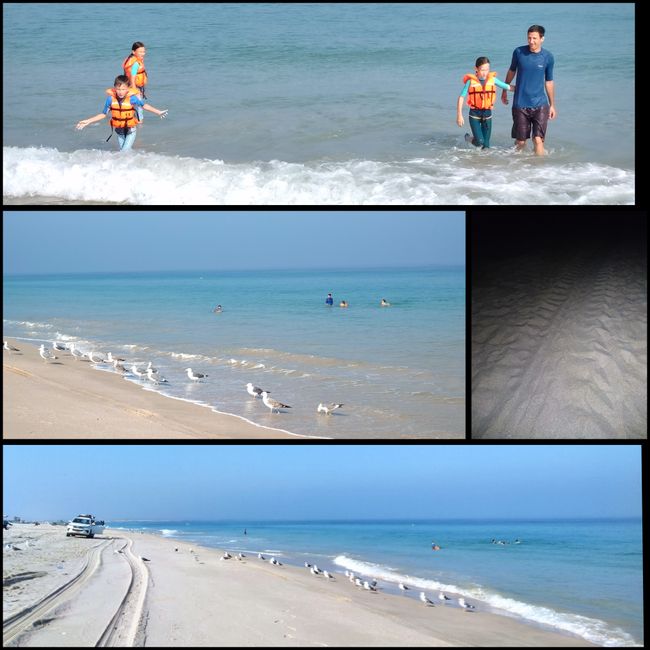 Ras al Hadd beach