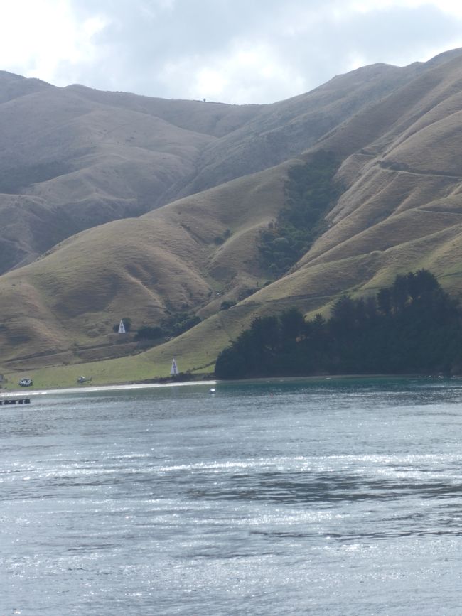 2025-03-25 NZ, l'Isola del Nord, Wellington