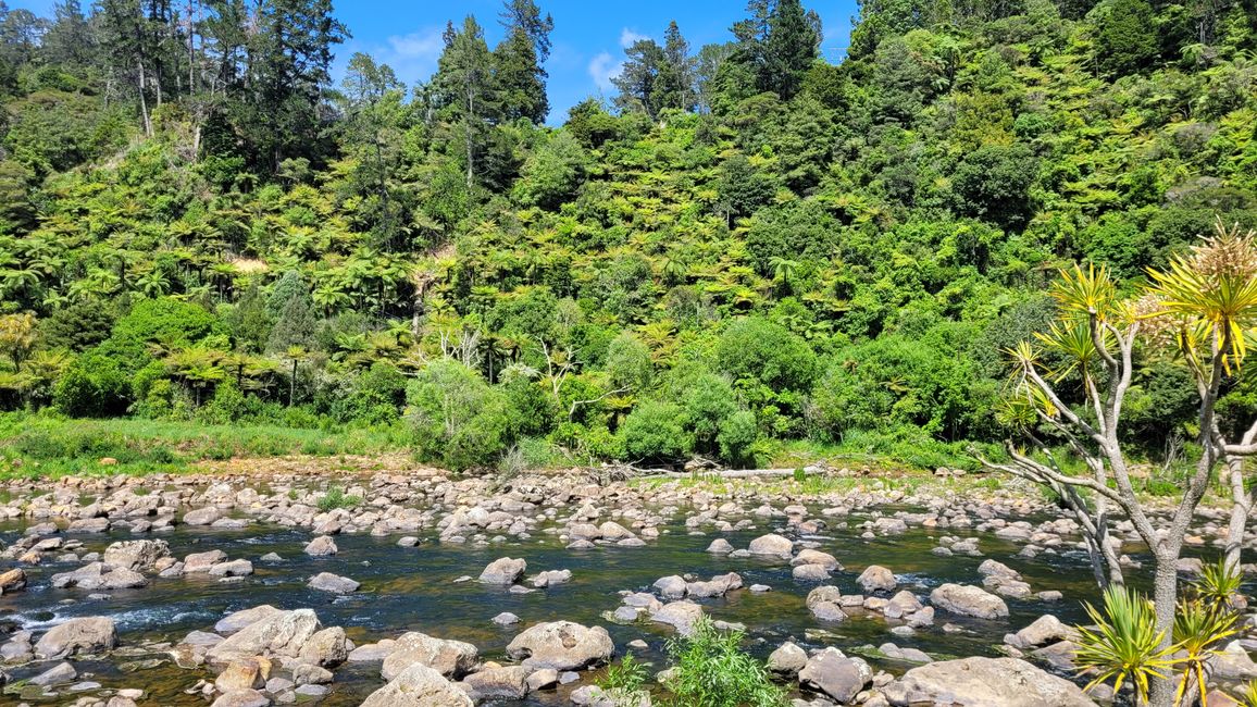 On the Trail of the Gold and Ore Mine in the Karangahake Gorge