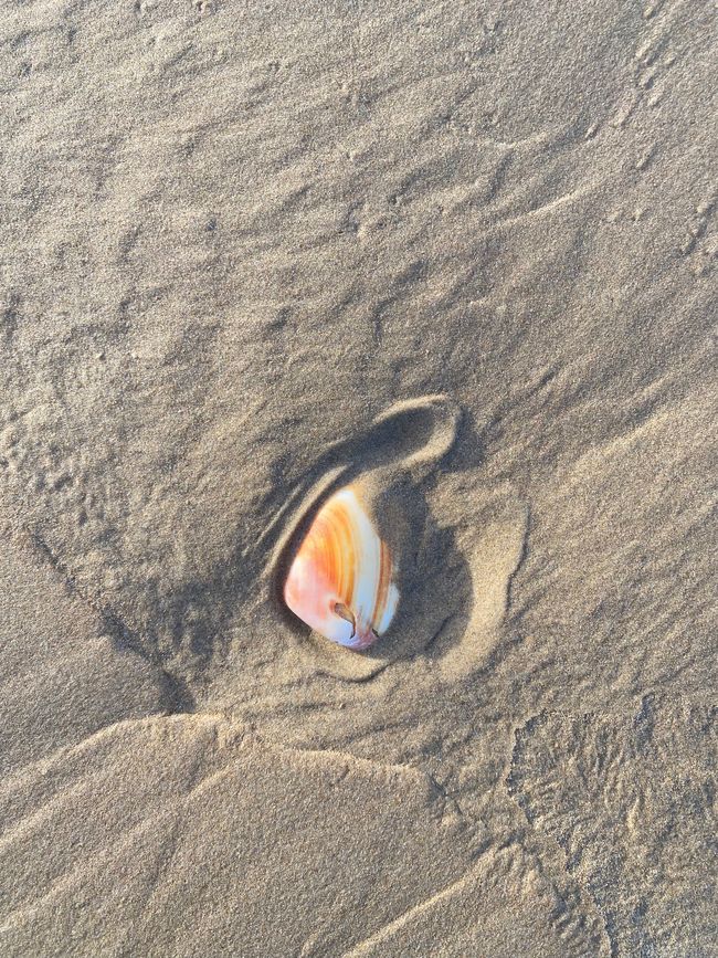 About the KariKari beach to Whangarei