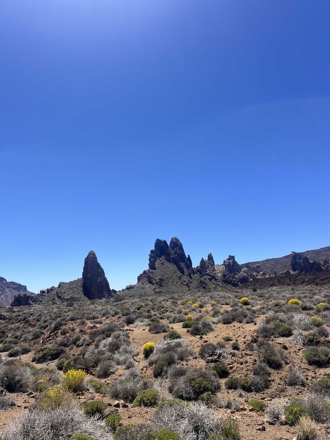 Roques de García