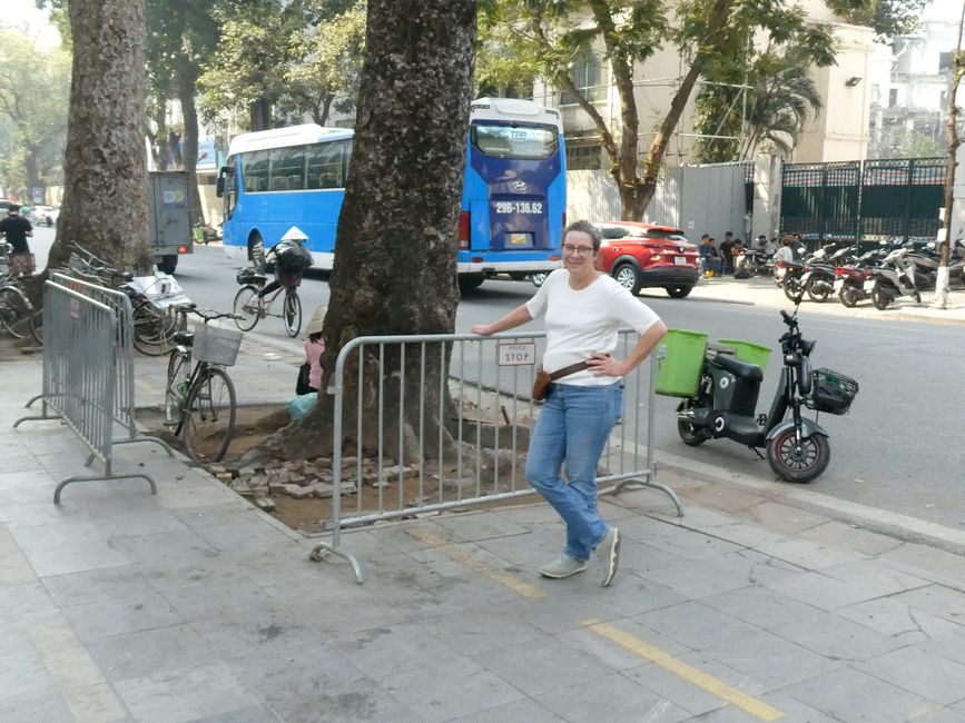 Nessuna immagine da cercare
