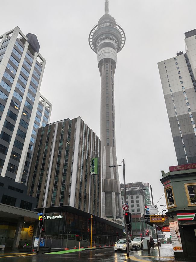 Weiterreise von George Town nach Auckland ....