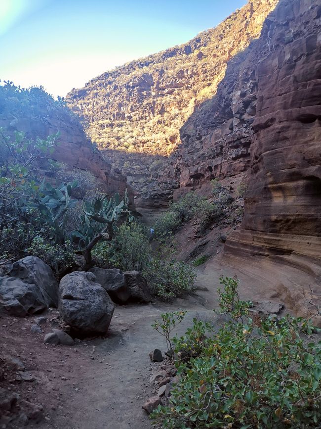 Gran Canaria Giugno 2024