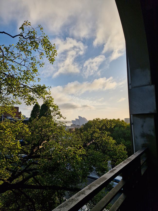 Morgenaussicht am Australia Day