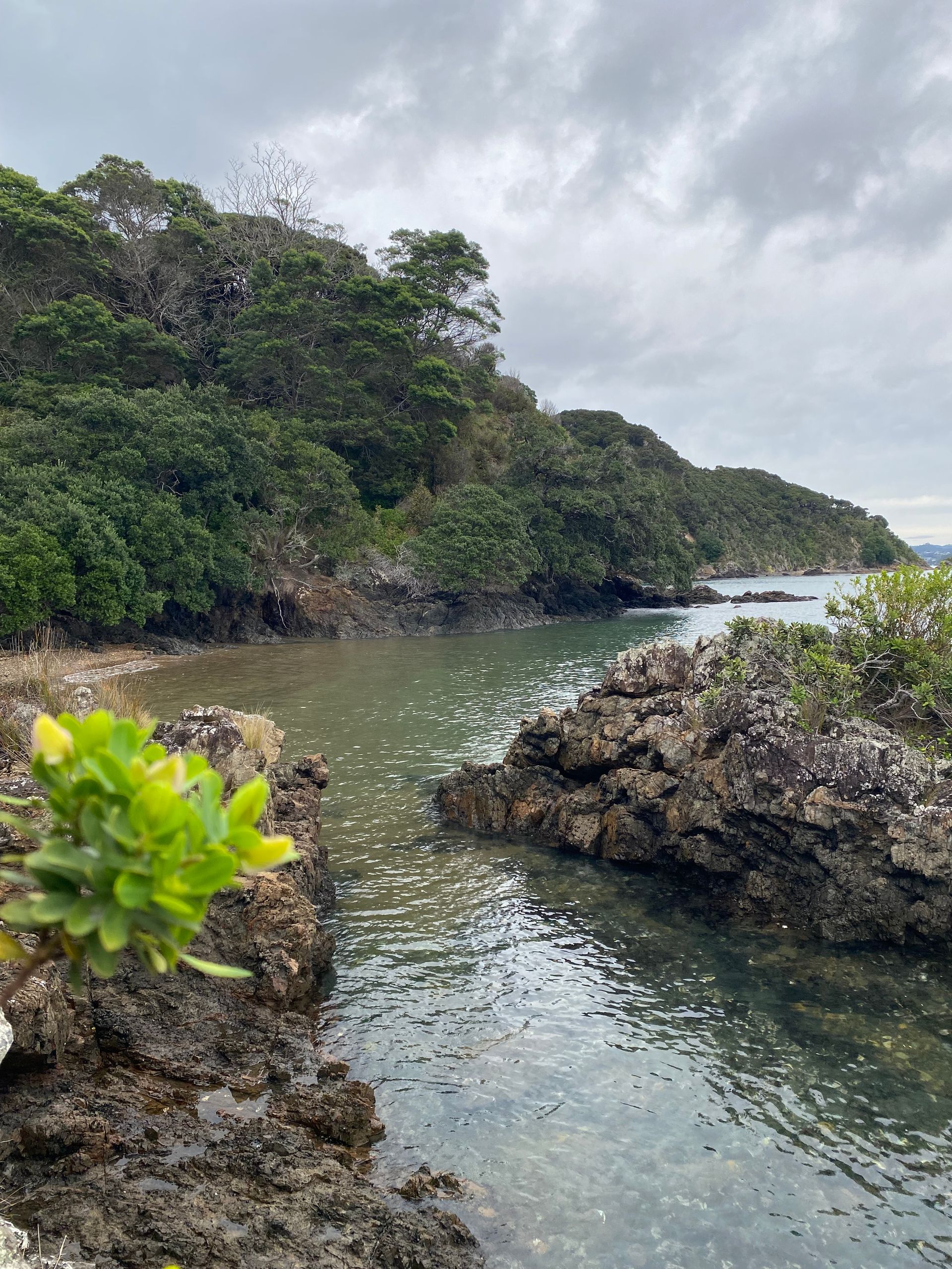 Bay of Islands-Whangaroa Community