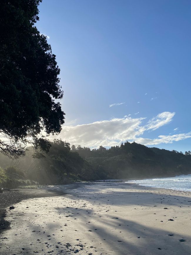 Coromandel loop