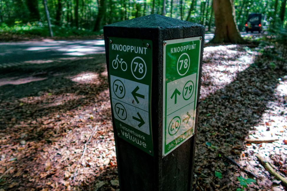 Radfahren in der Veluwe