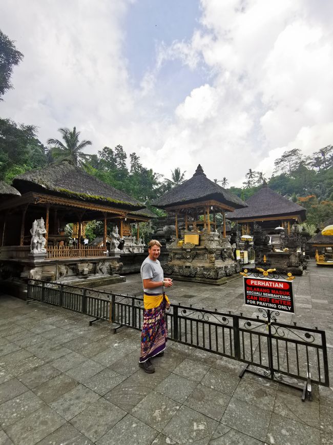 Excursión de un día a Ubud y Tegallalang
