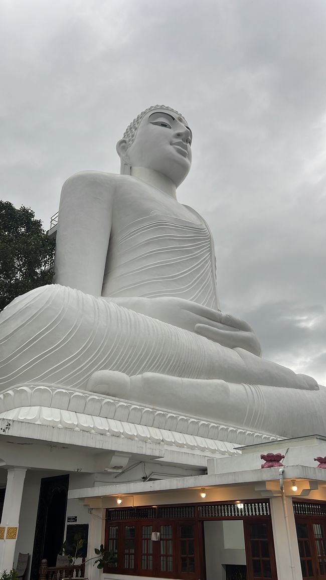 Sri Lanka Tag (5-8)