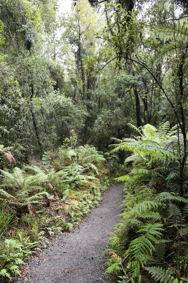 An der West Coast weiter Richtung Süden