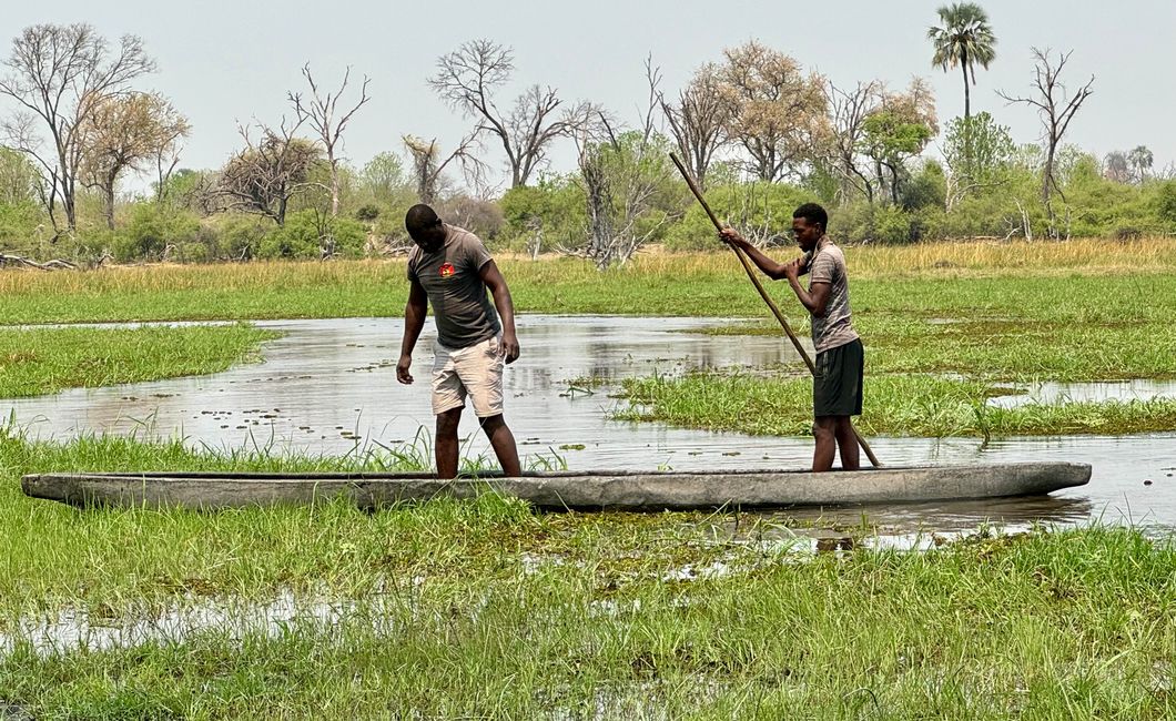 Dusty, Bumpy, Wobbly, from Maun to Greater Moreni Park