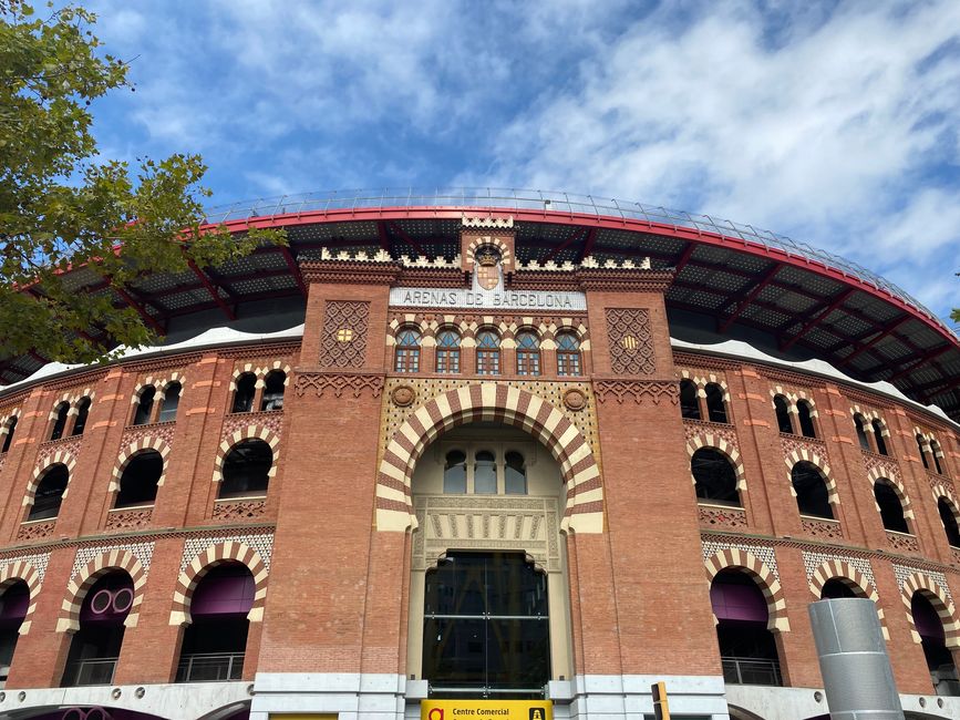 Ya no hay peleas de toros sangrientas aquí, solo 'comprar hasta caer' (...no para nosotros)