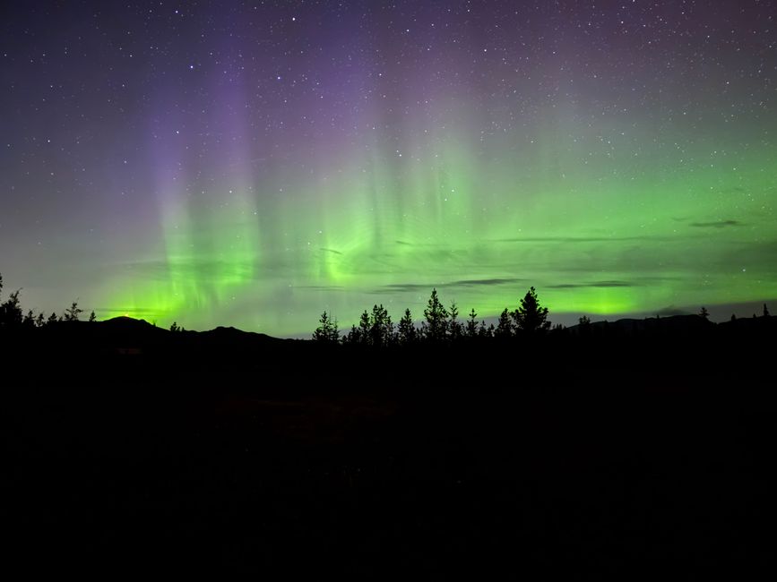 Northern Lights 