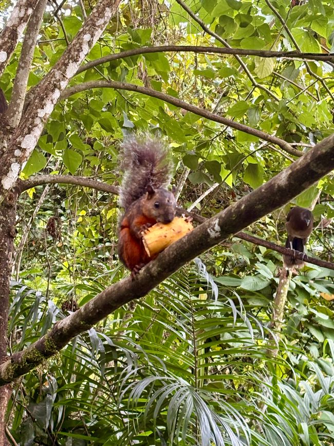 Unterwegs in Costa Rica